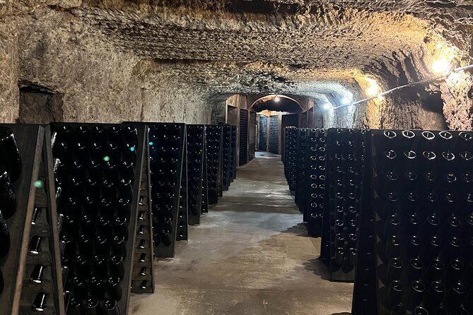 Loire Valley Chambord Castle and Wine Tasting from Paris - The Value of This Tour