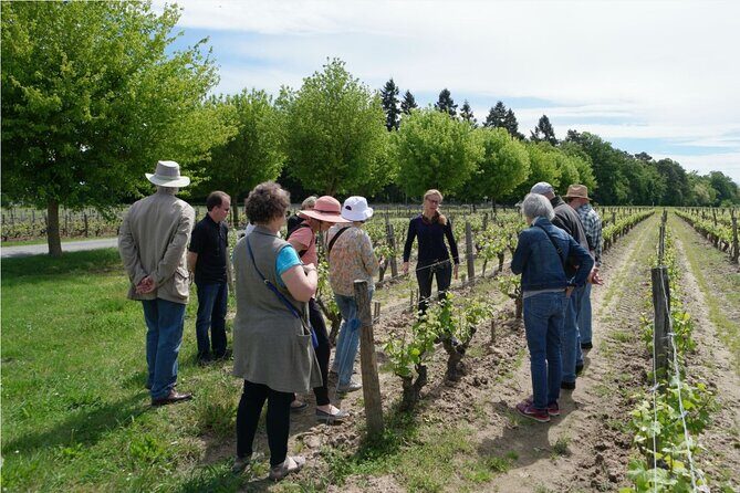 Loire Valley Wines Private Day Tour with Tastings from Tours or Amboise - What to Expect at Each Stop