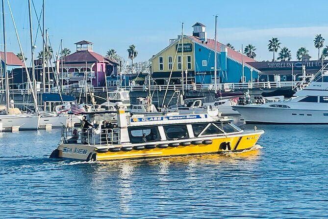 Long Beach Glass Bottom Boat Eco-Tour - What to Expect on the Tour: A Step-by-Step Breakdown