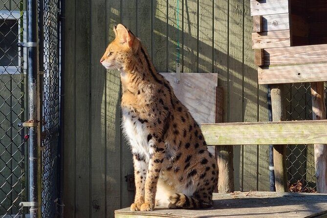 Long Island Farm & Wildplay Jones Beach Tour | Kids 50% Off - Second Stop: WildPlay Jones Beach