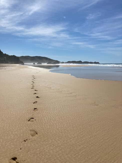 Los Angeles: 2-Day Private Surf Tour with Lunch - The Experience: Authentic, Comfortable, and Custom