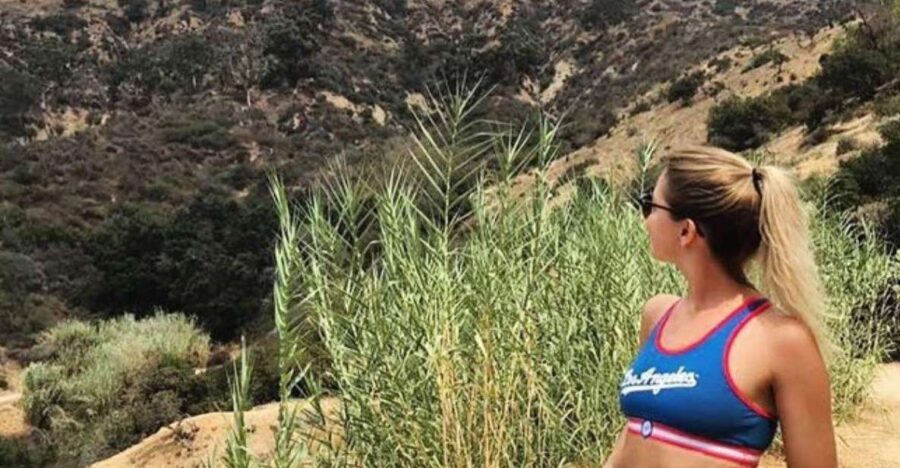 Los Angeles: Private Half Day City Tour - Why Choose This Tour?