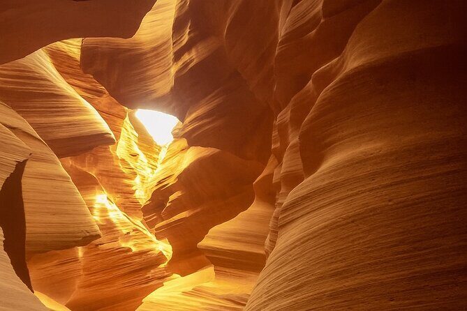 Los Angeles to Las Vegas Yellowstone National Park 7 Day Tour - What This Tour Means for You