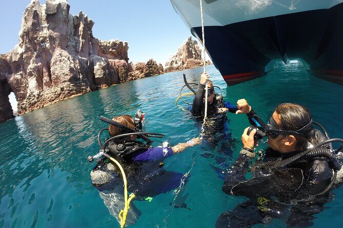 Los Cabos 2 tanks dive to The Corridor (Certified divers) - Practical Details & Tips