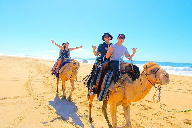 Los Cabos 3 in 1 Adventure: Camel Ride, Lunch and Arch Boat Tour - What’s Included and What’s Not