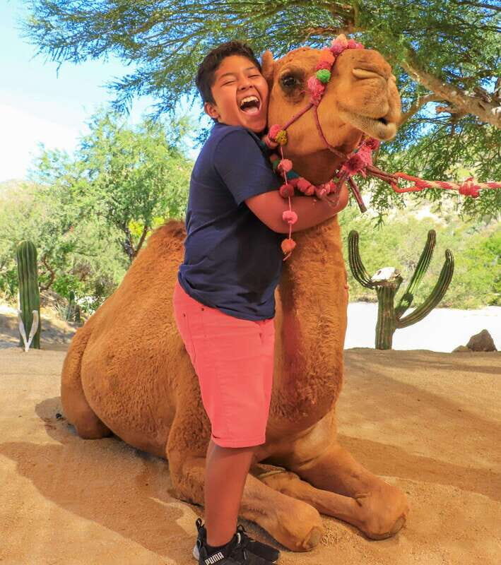 Los Cabos: Adventure Pass at Wild Canyon - Unique Experiences: Camels, Birds, and Reptiles