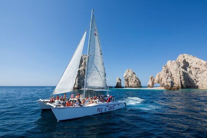 Los Cabos All Included Whale Watching Experience - Final thoughts: Is it worth it?