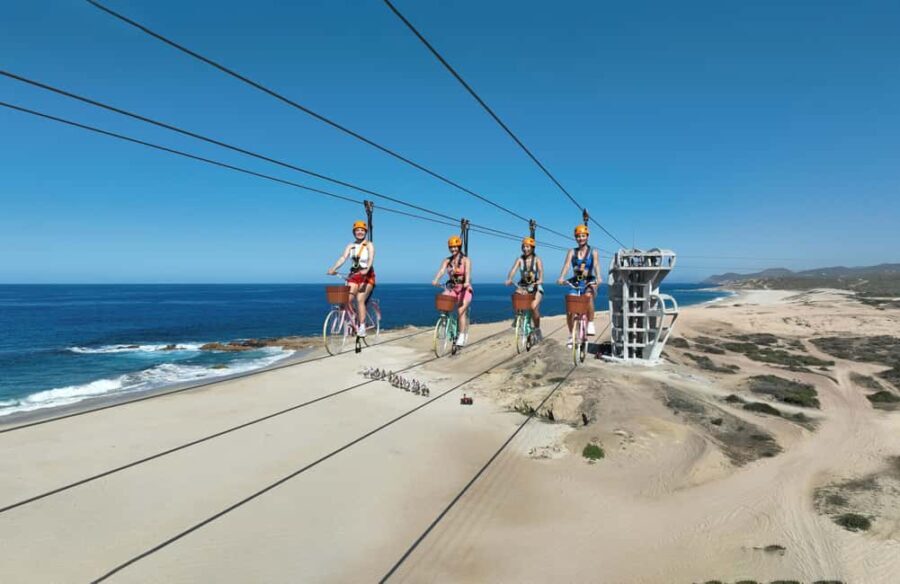 Los Cabos: Cactus Day Pass - Key Points