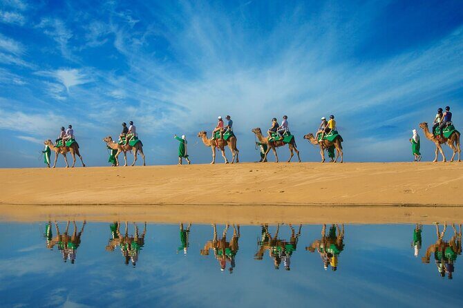 Los Cabos Camel Ride Adventure On The Beach - Who Will Love This Experience?