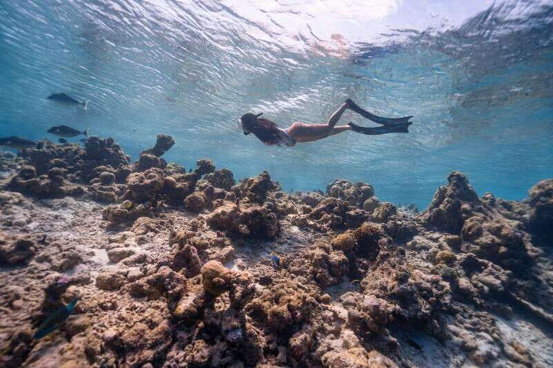 Los Cabos: Glass-Bottom Kayak and Snorkel Tour at Two Bays - The Experience in Detail