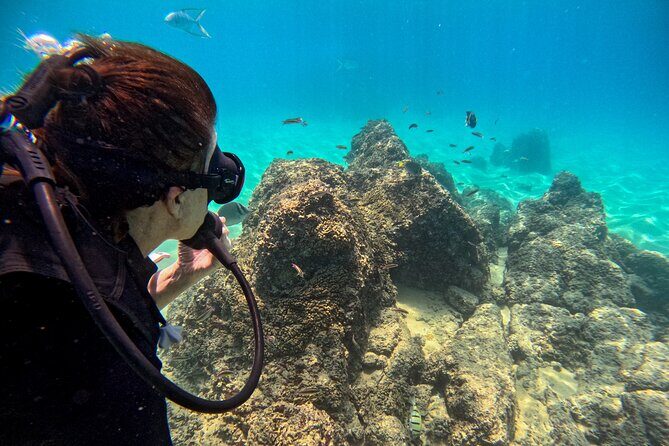 Los Cabos Open Water Diver Course - Who Should Consider This Course?