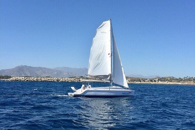 Los Cabos Platinum Snorkel Experience - A Closer Look at the Experience