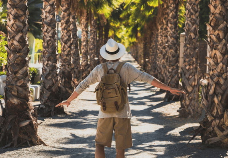 Los Cabos: San Jose del Cabo and Cabo San Lucas Tour - Who Will Love This Tour?