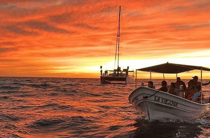 Los Cabos Sunset Boat Tour - What to Expect from the Los Cabos Sunset Boat Tour