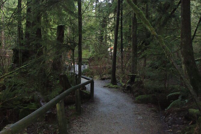 Love the Land Indigenous Walking Tour Capilano River Hatchery - Value and Practicality