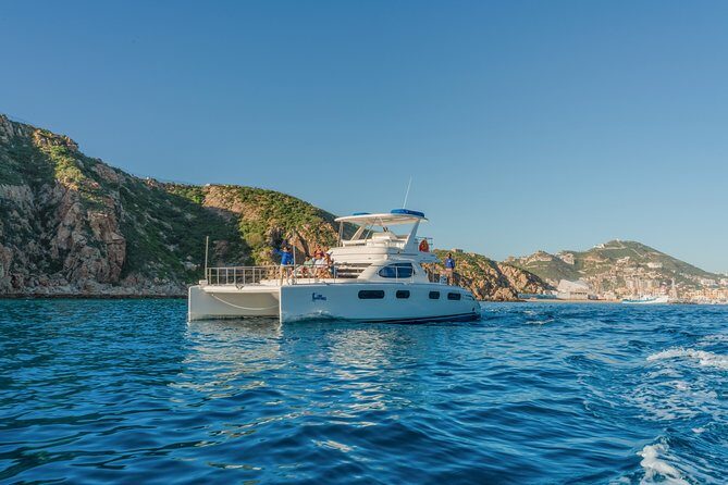 Luxury Catamaran Whale Watching Cabo San Lucas - What Travelers Say: Authentic Voices