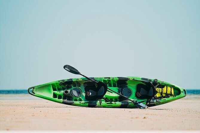 Luxury Kayak Tour To An Island Off Clearwater Beach! - (Tandem) - Final Thoughts: Is It Worth It?