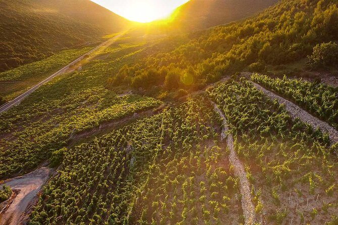 Luxury private transfer Split - Dubrovnik with lunch in Ston - Analyzing the Value