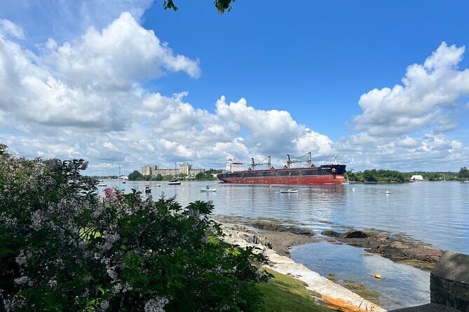 Luxury Semi-Private 4 Guest Seaside & Coastal eBike Tour |3-3.5Hr - Who Is This Tour Best For?