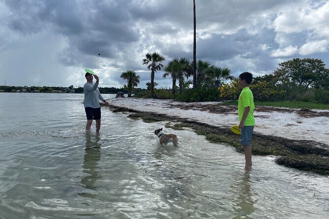 Luxury Single Kayak Tour To An Island Off Clearwater Beach! - Authentic Experiences and Top Ratings