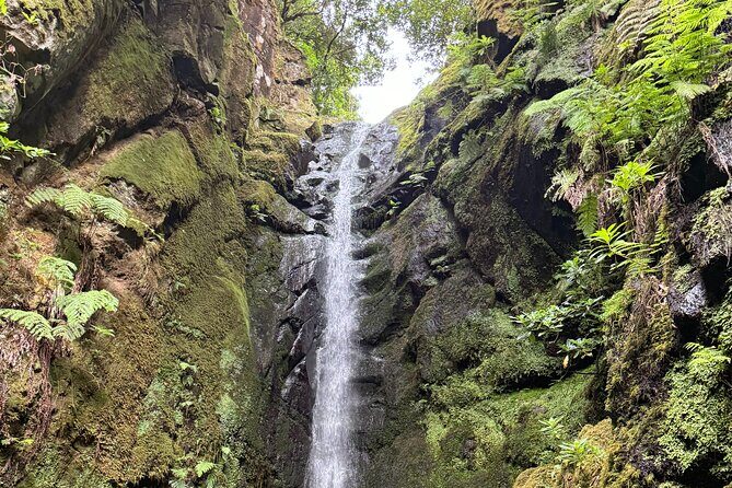 Madeira Off-Road 4x4 Jeep Adventure Private Full day Tour - Practical Tips for Your Adventure