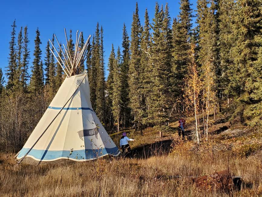 Madeline Lake: Aurora Lodge and Aurora Chasing Tour - Key Points