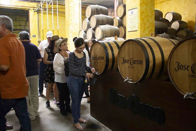 Magic Town Tequila and Agave Fields - The Value and Practicalities