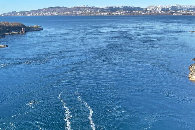 Magical Saltstraumen Tour - Who Should Consider This Tour?