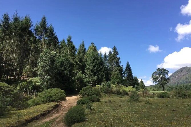 Magical Santa Clara leaving from Morelia - Practical Details and Value