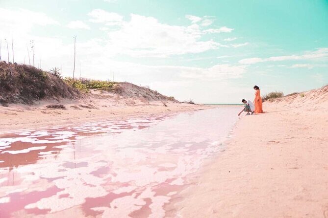 Magical Tour Las Coloradas Natural Pink Lagoon from Riviera Maya - Who Will Love This Tour?