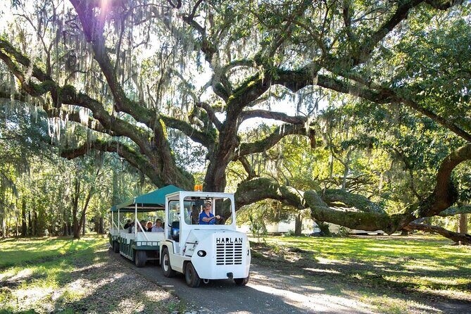 Magnolia Plantation Day Tour with Transportation - The Value and Practicalities