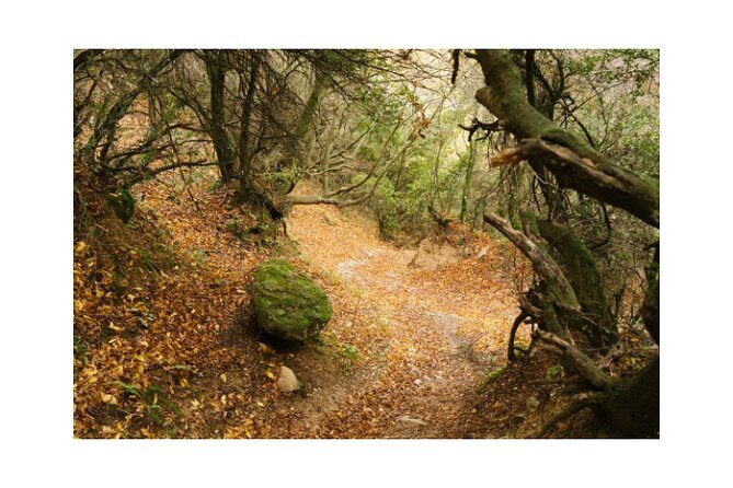 Majestic Meteora Private Morning Tours - The Sum Up