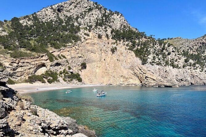 Mallorca Alcanada Island 3hr Cruise inc Drinks, Snorkelling & SUP - An In-Depth Look at the Mallorca Alcanada Island Cruise
