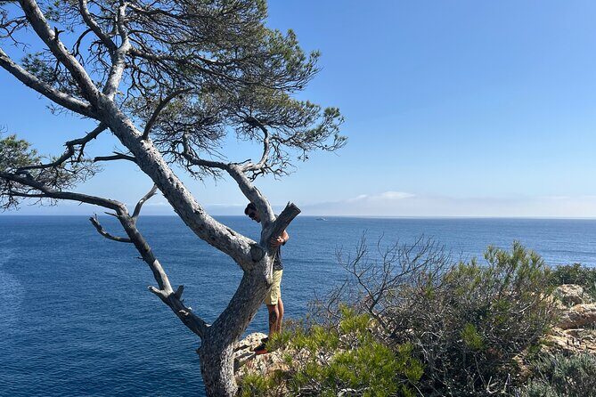 Mallorca Secret Coves Land Rover Private Tour - Frequently Asked Questions