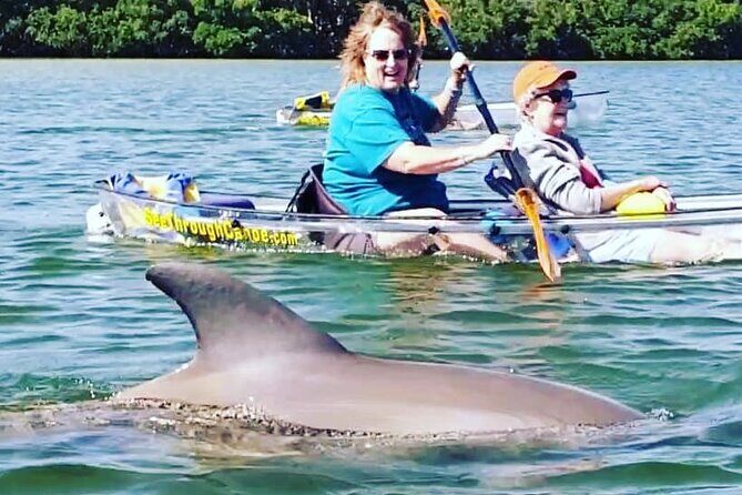 Manatee And Dolphin Tour - Why This Tour Excels