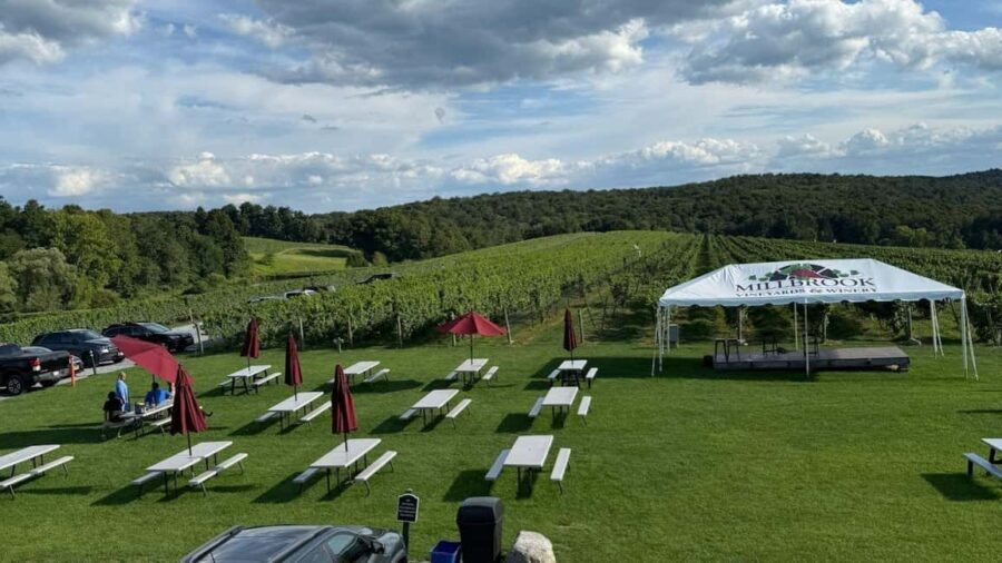 Manhattan: Millbrook Vineyards & Winery Private Tour - What Makes This Tour Stand Out