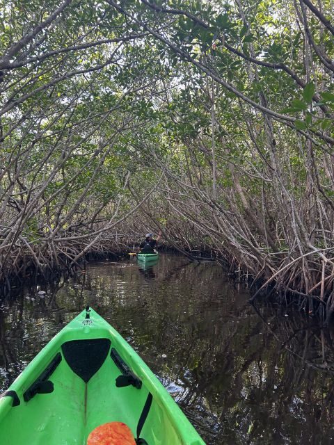 Marco Island: Mangrove Maze Kayak Tour (2hrs) - FAQ