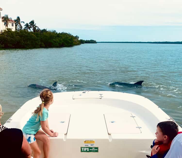 Marco Island: Private Shelling & Dolphin Excursion - An In-Depth Look at the Experience