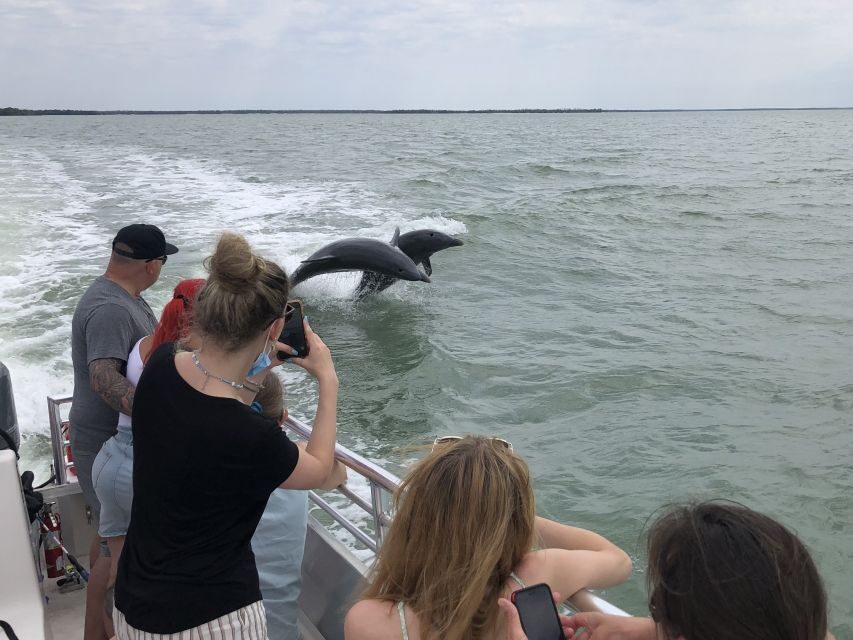 Marco Island: Ten Thousand Islands Shelling & Dolphin Tour - Who Will Love This Tour?