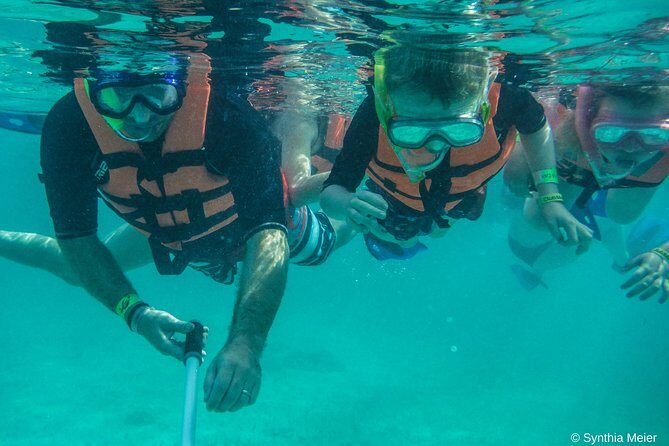 Marine Turtle Snorkeling Private Tour - Final Thoughts: Who Will Appreciate This Tour?