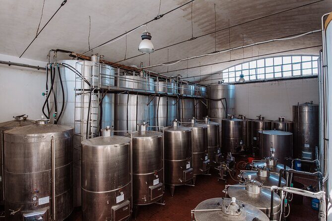 Marsala Tasting of 5 Sicilian organic wines - The Personal Touch and Deep Connection to the Land