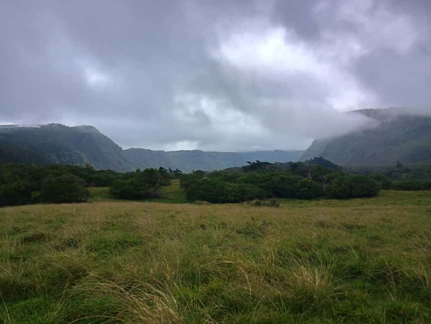 Maui: East Side Hiking Tour - Who Will Love This Tour?