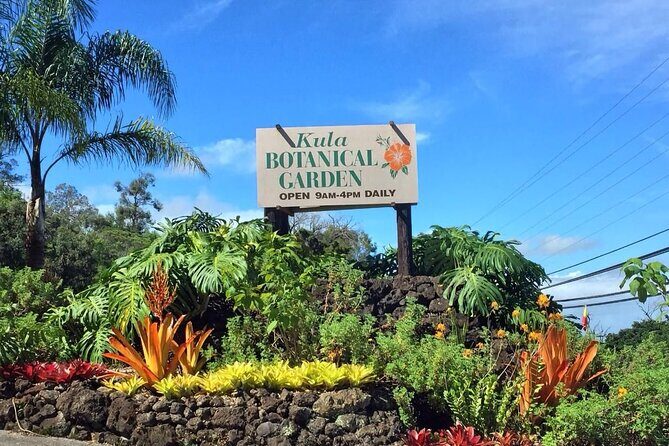 Maui Haleakala Volcano Summit Slingshot Tour from Kihei - Who Will Love This Tour?