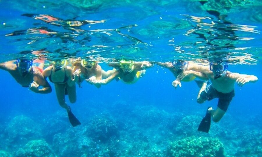 Maui: Kaanapali Beach 5-hr Snorkel w/ BBQ Lunch & Open Bar - What Travelers Say: Authentic Perspectives