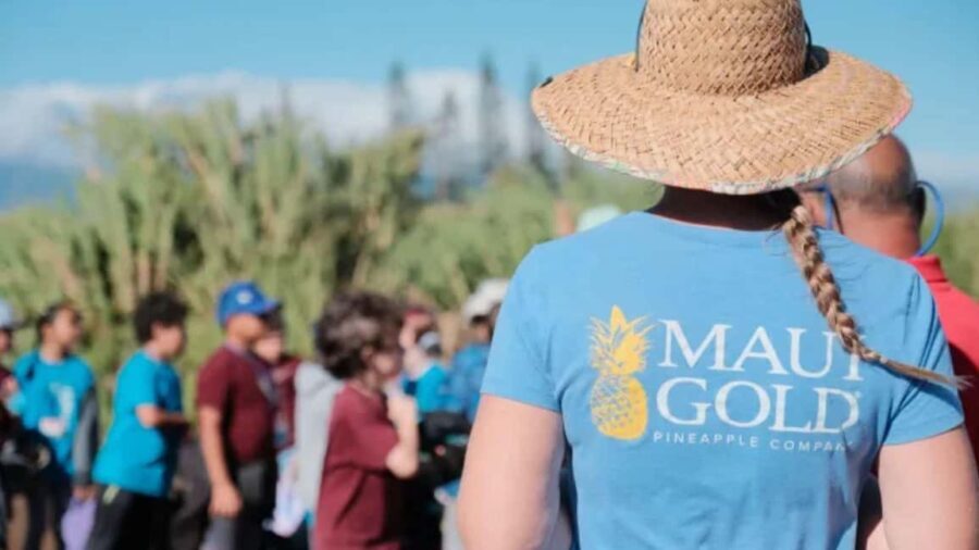 Maui: Pineapple Planting Experience - Overview of the Maui Pineapple Planting Experience