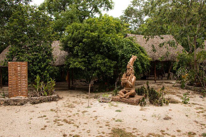 Mayan Trail: Ek Balam, Sacred Cenote and Local Food - Transport and Practical Details