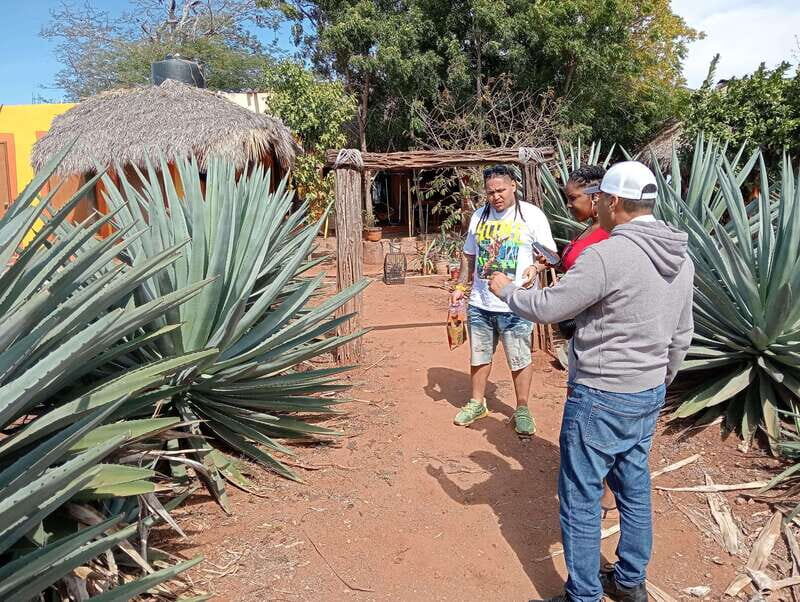 Mazatlan: Mezcal Factory Tour with Tasting and Lunch - A Detailed Look at What You Can Expect