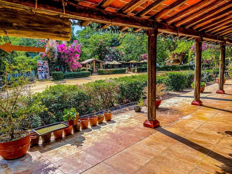 Mazatlán: Tequila Factory & Country Sightseeing - The Real-World Experience — What Travelers Say