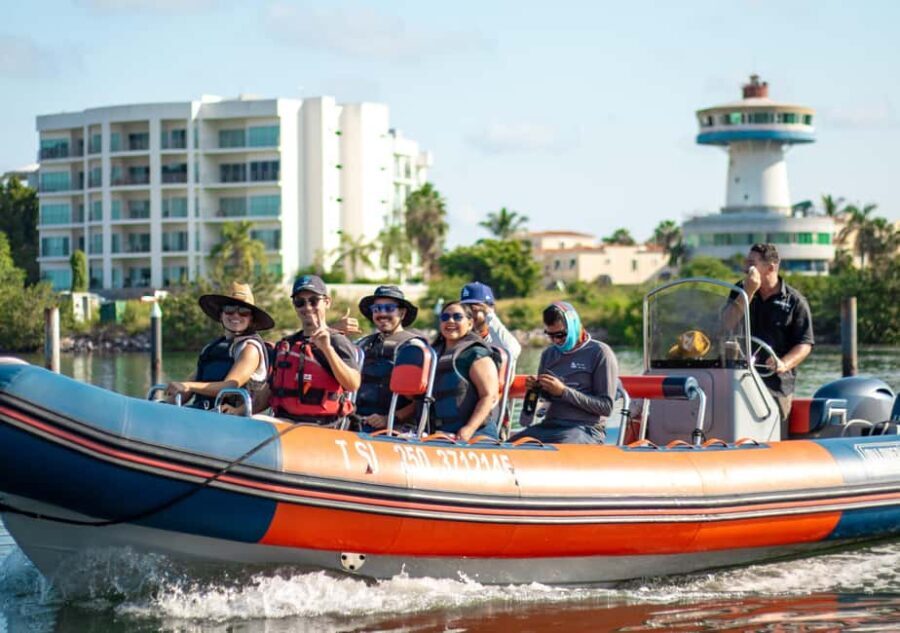 Mazatlán: Whale-Watching Boat Tour with Marine Experts - The Sum Up