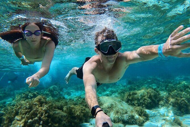 Mellieha: Gozo, Comino, Sea Caves, and Blue Lagoon Cruise - Who Will Love This Tour?